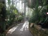 Glass Gardens